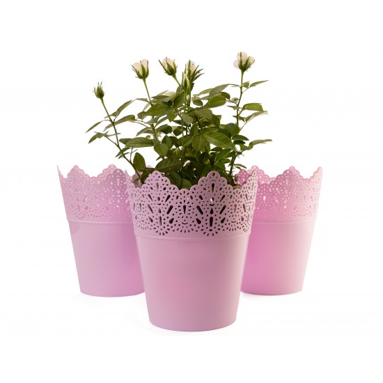 Plant Pots Indoor Crown Pink